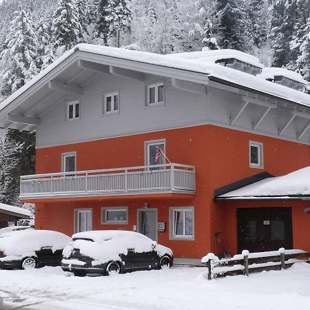 Alpen Appartements Viehhofen - Incl Sommercard Zell Am See Viehhofen Exteriér fotografie