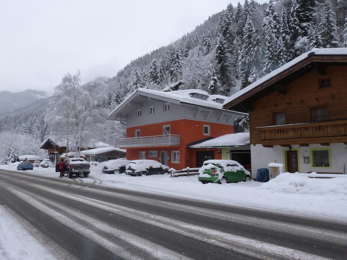 Alpen Appartements Viehhofen - Incl Sommercard Zell Am See Viehhofen Exteriér fotografie