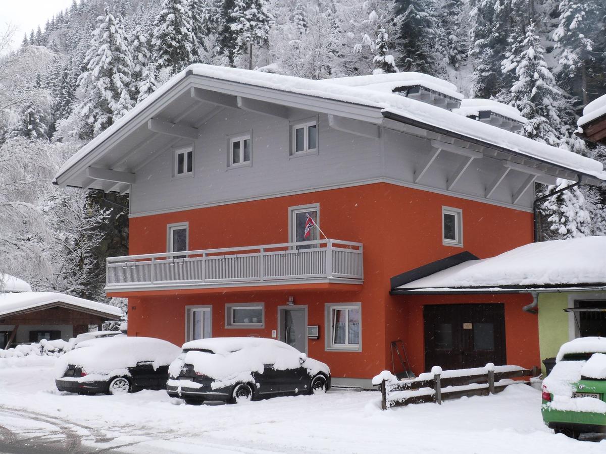 Alpen Appartements Viehhofen - Incl Sommercard Zell Am See Viehhofen Exteriér fotografie