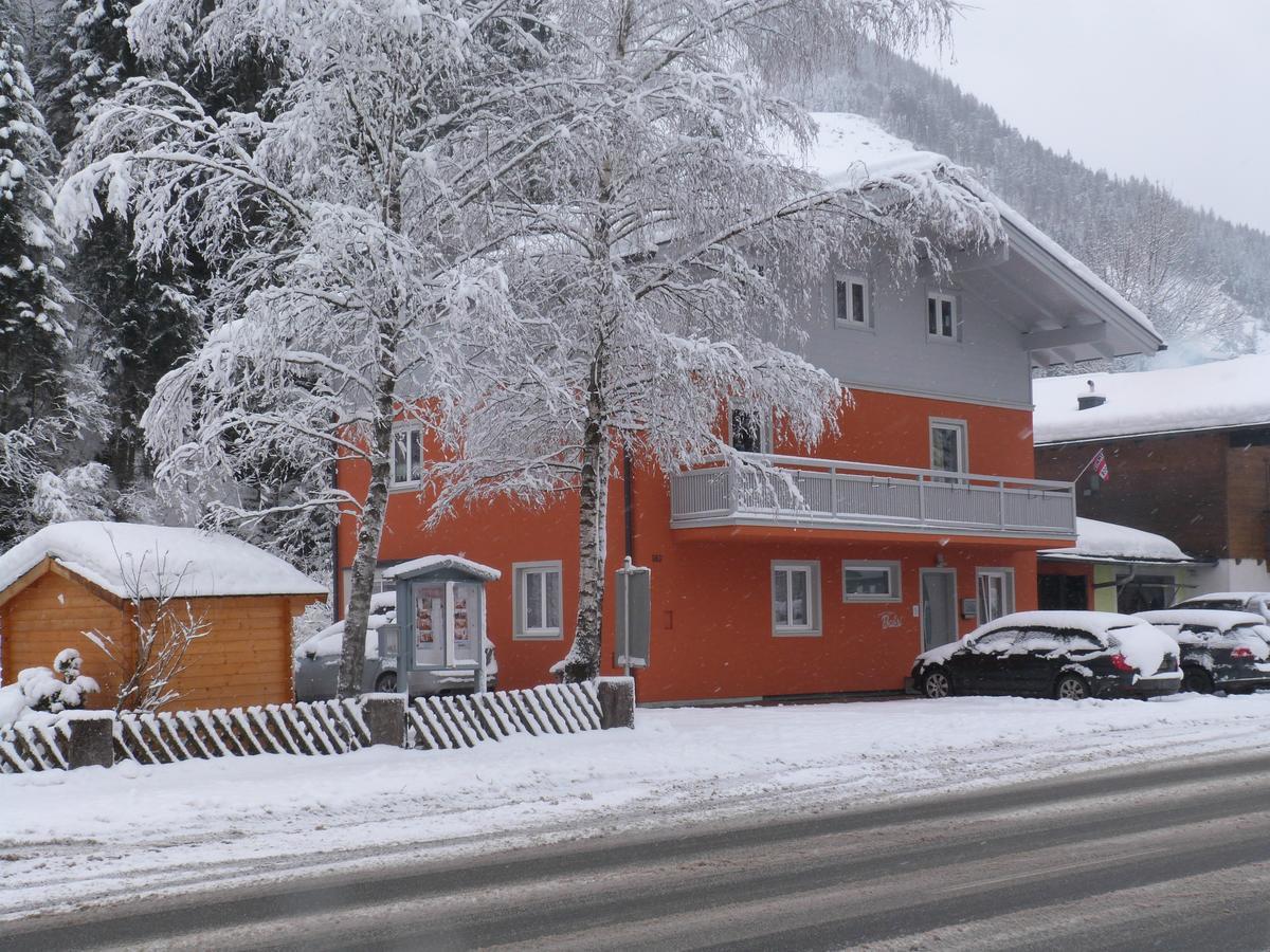 Alpen Appartements Viehhofen - Incl Sommercard Zell Am See Viehhofen Exteriér fotografie